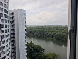 Blk 476B Hougang Capeview (Hougang), HDB 4 Rooms #583962421
